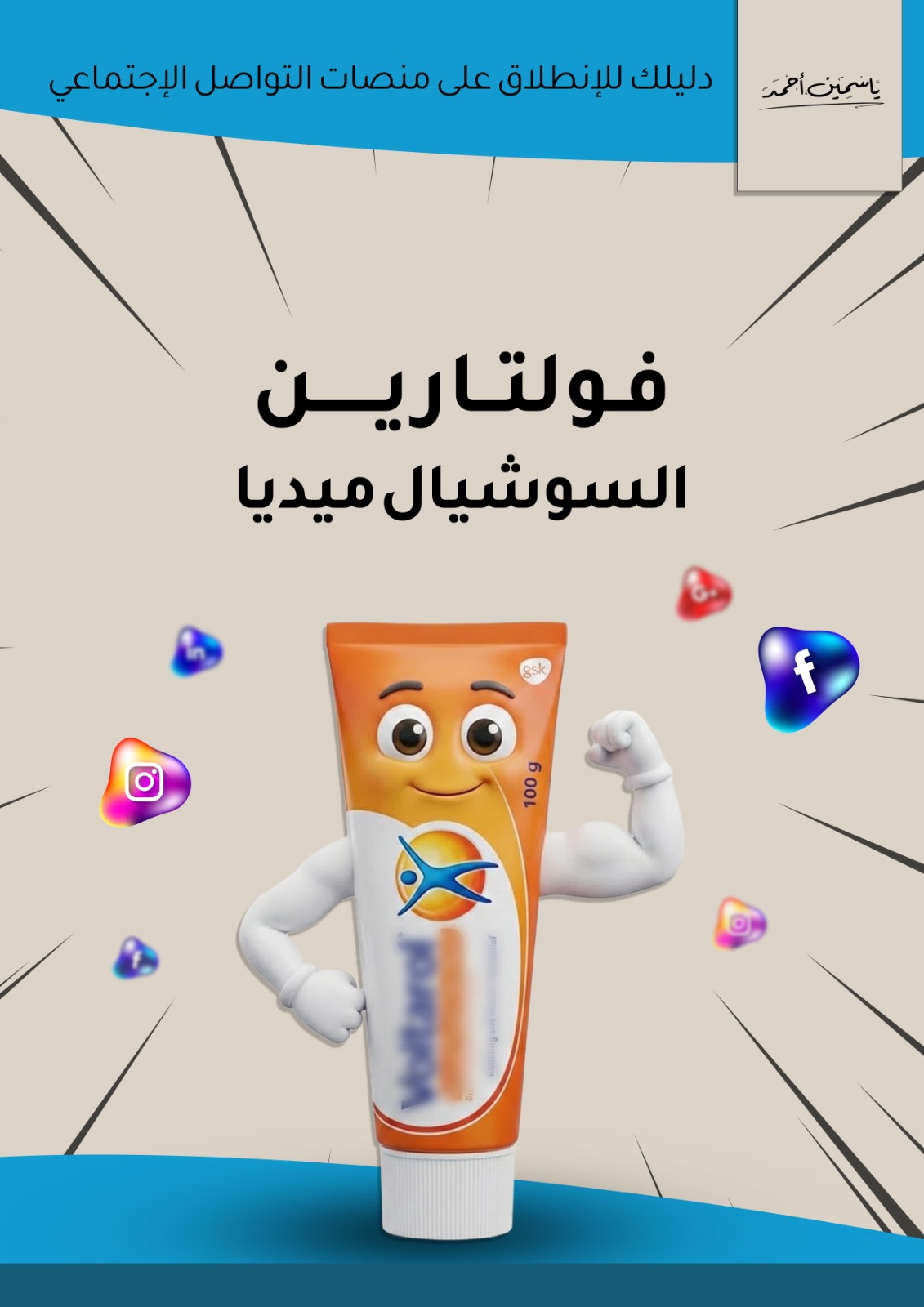 كتاب فولتارين - الاستراتيجية